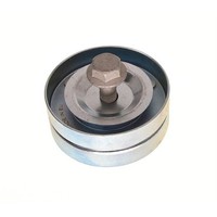 Maxgear Umlenk FüHrungsrolle Keilrippenriemen FüR Peugeot 206 CC 1.6 16V 54-0091