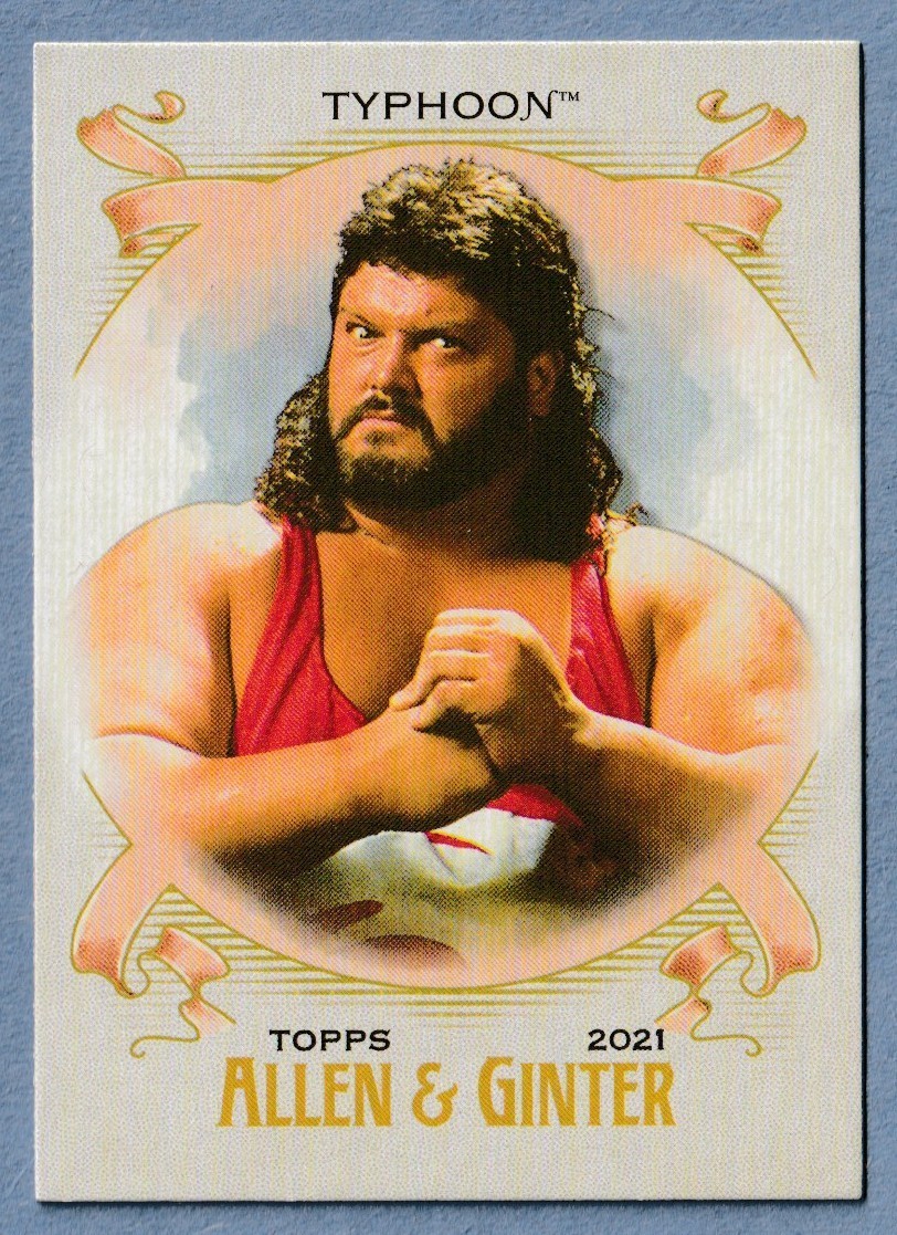 2021 WWE Topps Heritage Allen and Ginter #AG-22 Typhoon