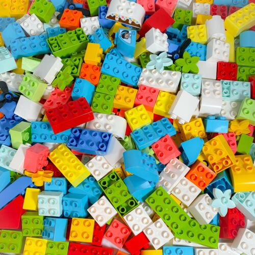 LEGO® DUPLO - Bausteine und Sondersteine - 25 Teile NEU! - Photo 1/1