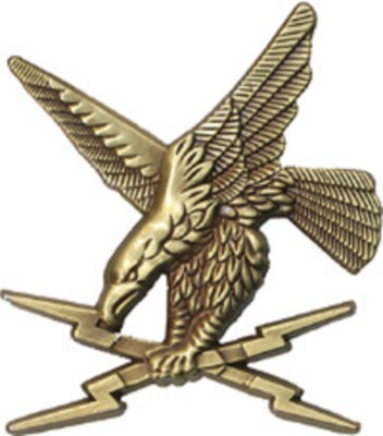 Spécialiste de Guerre Electronique, aigle bronze, Beraudy GS 53, (1333)