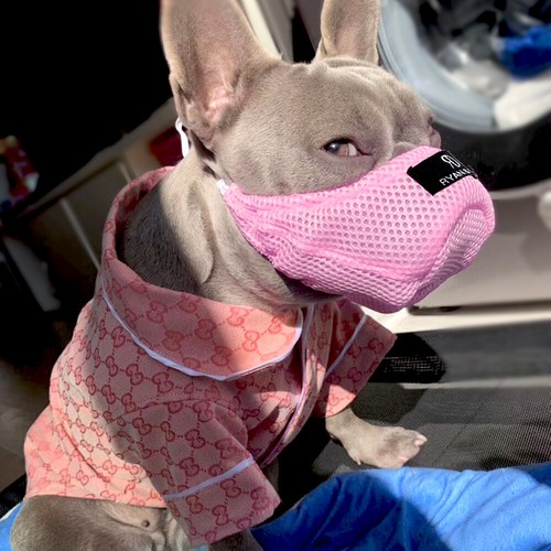 Soft Breathable Dog Muzzle Mesh Pet Mouth Muzzles No Barking Chewing Biting XS-L - Picture 3 of 14