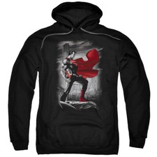 SUPERMAN METROPOLIS GUARDIAN Licensed Adult Hooded Sweatshirt Hoodie SM-5XL