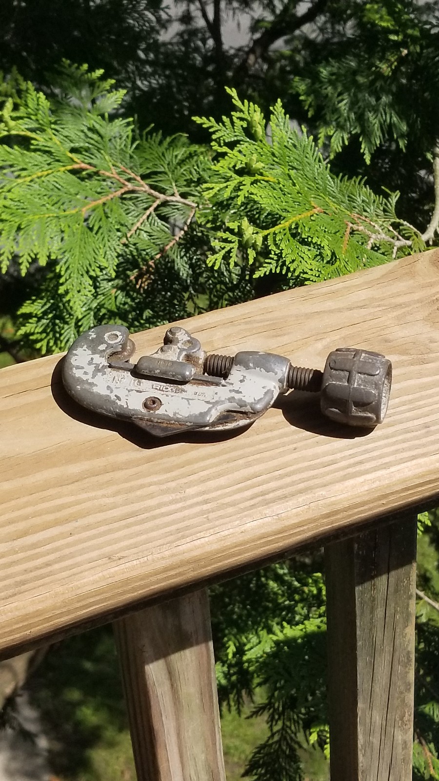 Picture 10 of 24