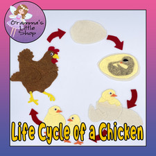 Chicken Life Cycle Felt Set for Felt or Flannel Board Play