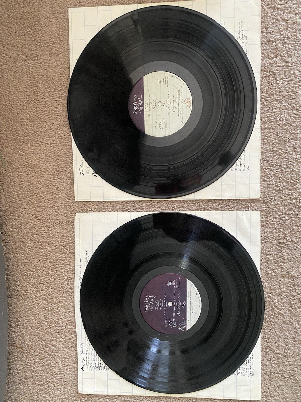 Picture 5 of 5