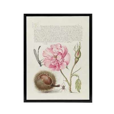 Damselfly Rose Chestnut Spider Calligraphy Framed Canvas Wall Art Print