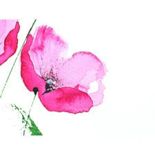 Flower Poppy Watercolour 12X16 Inch Framed Art Print