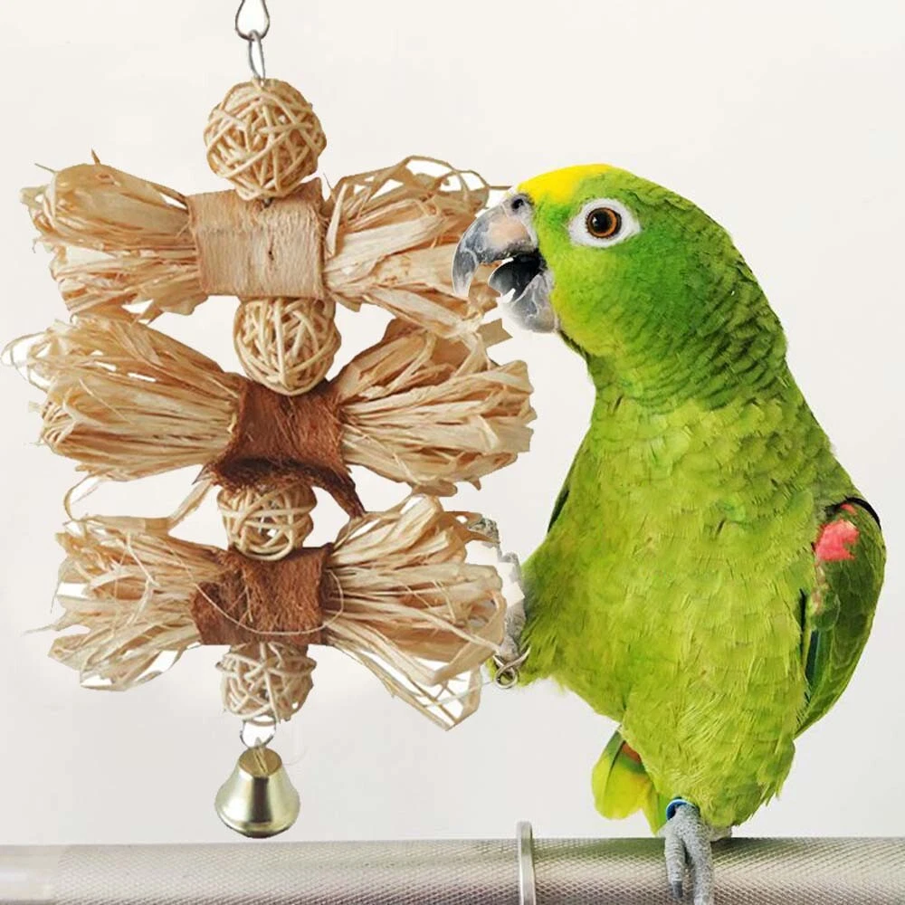 Parakeet bird supplies cheap