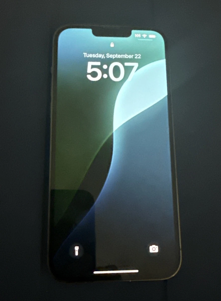 Apple iPhone 13 Pro Max 1TB for Sale | Shop New & Used Cell Phones