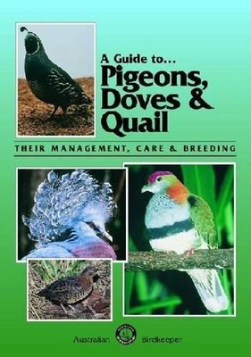 Danny Brown Pigeons, Doves and Quail (Taschenbuch) Guide to (US IMPORT)