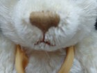Bild 12 von 13