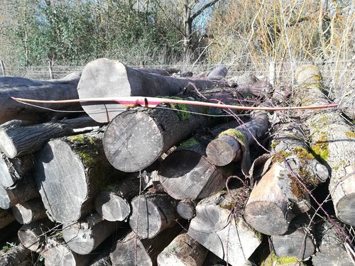 Bamboo - Ipe Laminated R/D Bow, 62", #45 lbs @28" - Picture 8 of 8