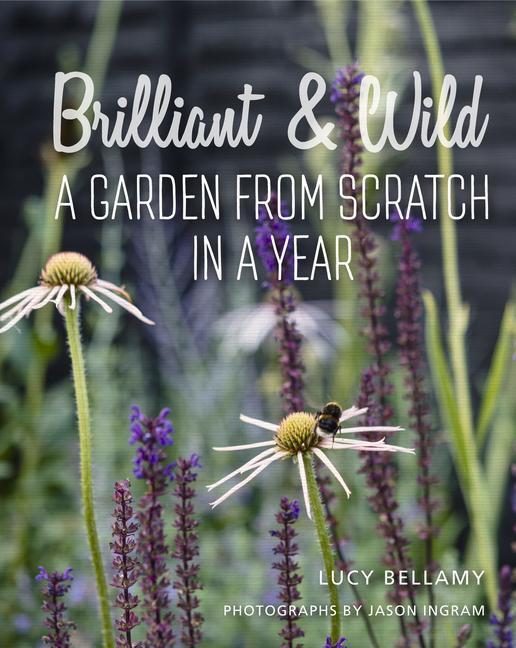 Thumbnail - Brilliant And Wild Lucy Bellamy 9781910258637
