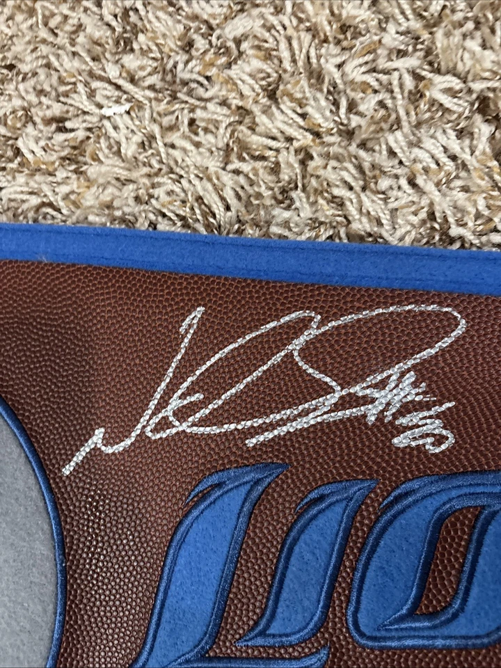 Autógrafo firmado por Ndamukong Suh Detroit Lions con banderín Brandon Pettigrew Foto 2 de 4