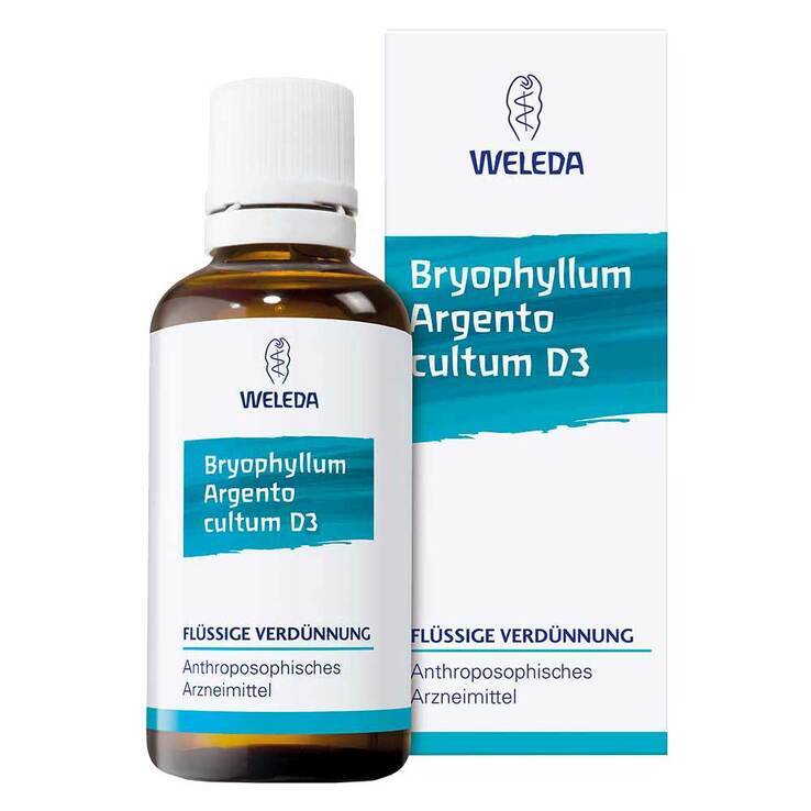 Bryophyllum Argento Cultum D3 · 50 ml · PZN 01571934