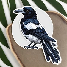 Magpie Sticker "3x2.5"