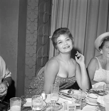 Vintage UNIDENTIFIED MODEL Original B&W 120 Film Negative