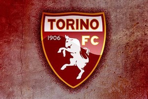 Risultati immagini per torino calcio logo
