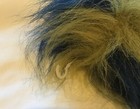 Bild 9 von 11