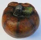 Foto 7 di 9