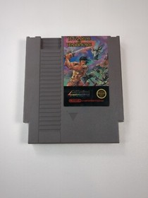 Nintendo NES WIZARDS & WARRIORS cartuccia gioco manuale manicotto antipolvere testato