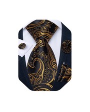 DiBanGu Mens Tie and Lapel Pin Set Silk One Size, Black Gold Paisley