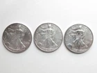 Lot of Three 1 Oz Silver American Eagle Fine Silver .999 Pure (2005 & 2007)