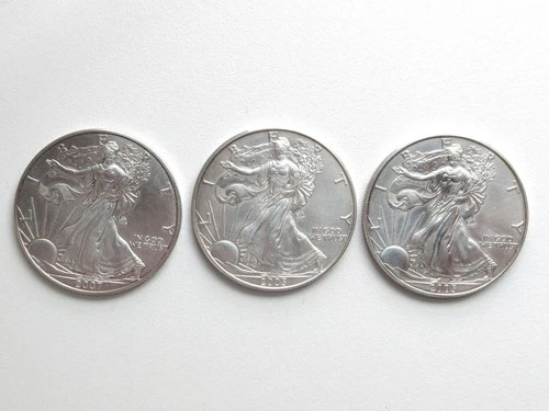 Lot of Three 1 Oz Silver American Eagle Fine Silver .999 Pure (2005 & 2007)