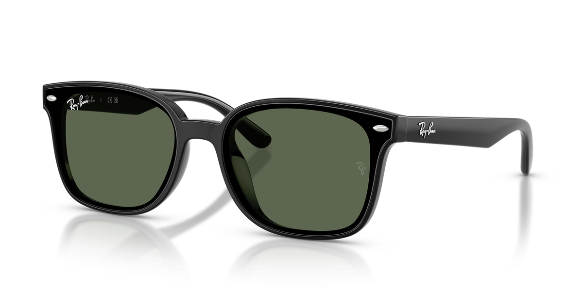 レイバン Ray-Ban 4461D RB4461D 601/80 64-17 Ray-Ban RB4461D Polished Black/Dark Green 64 mm Sunglasses RB4461D
