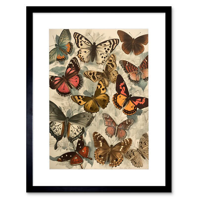Vintage Cottagecore ästhetische Schmetterlinge Insekten Studie gerahmter Kunstdruck 12 x 16