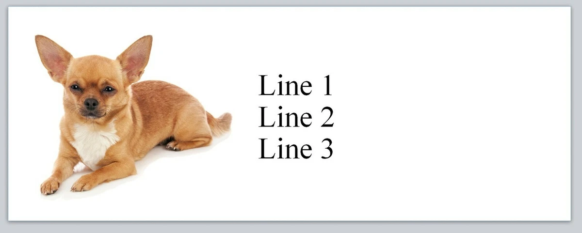 Personalized Address Labels Chihuahua Dog Buy 3 get 1 free p 830