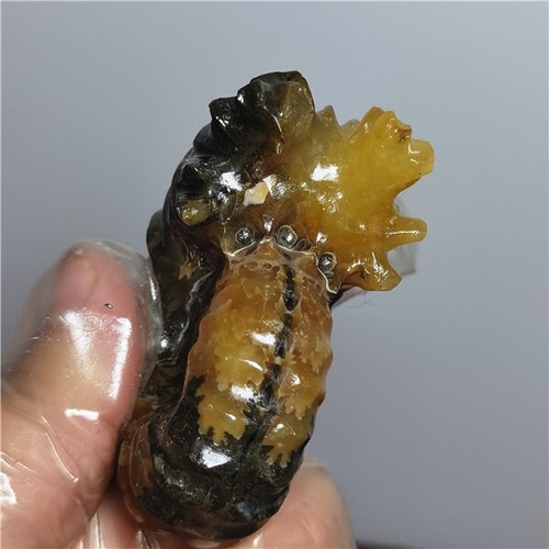 143g Ammonite specimens of natural conch from "goat's horn" of Madagascar A25 - Picture 10 of 10