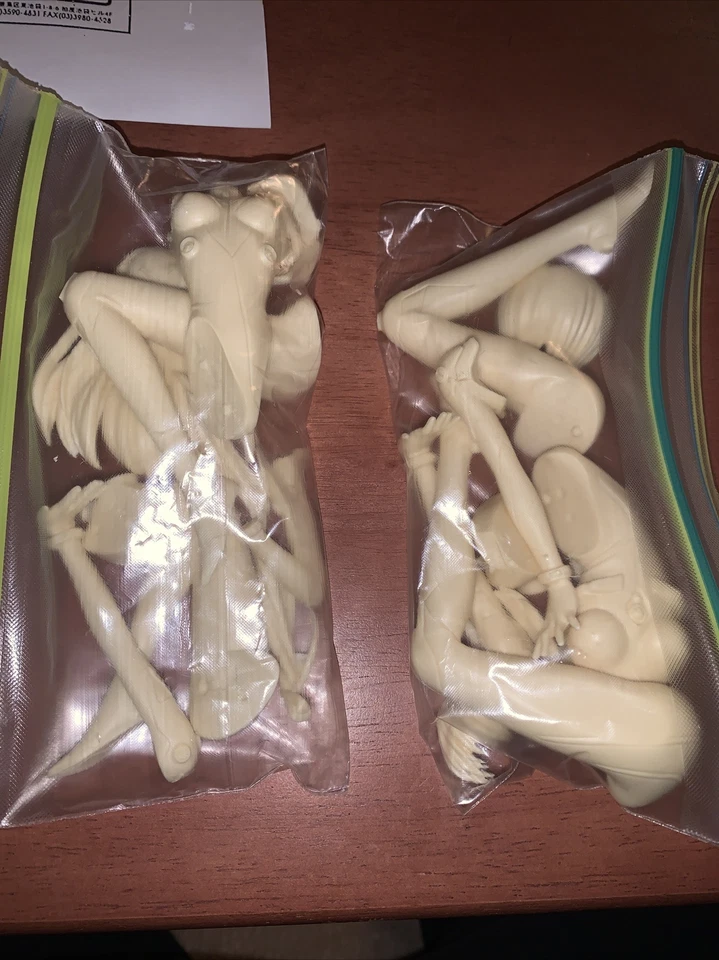 Soryu Asuka Langley & Ayanami 1/8 Resina Fundida Modelo Kit... Ambas figuras raras Foto 4 de 4