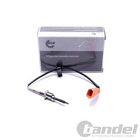 Esen SKV Abgastemperatursensor Passend FüR Audi A4 A5 A6 A7 A8 Q5 | 30SKV377