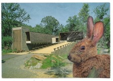Mail Art David Greenberger "Wide Eyed" original collaged postcard 2026