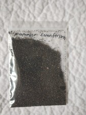 SEEDS Giant Poppy Papaver Mixed Colours Organic Bees Pollinator Easy Flowers