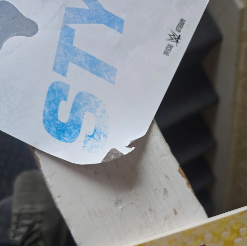 FOTO ASSINADA AJ STYLE 11" x 14" 2016 WWE OFICIALMENTE LICENCIADA 15" x 12" - Imagem 2 de 4