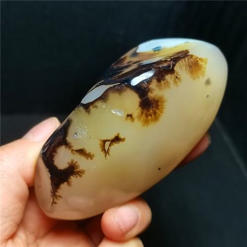 TOP 214.8G Natural Polished Aquatic Plants Agate Crystal Madagascar BY389 - Imagen 6 de 23