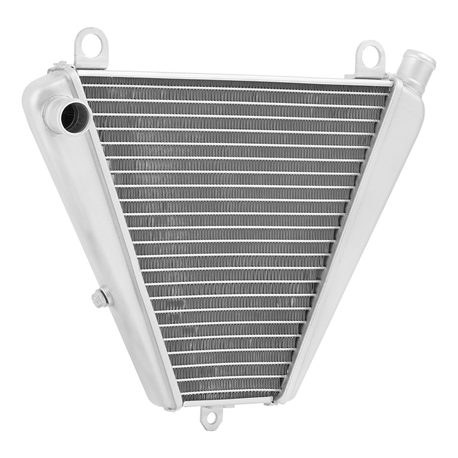 Lower Radiator Fit For Ducati Panigle V2 2020-2024 Panigle V2 Troy Bayliss 2022