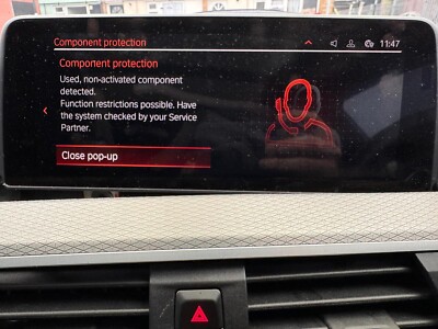 OBD BMW MGU Virgin Service Komponentenschutz Ausbau