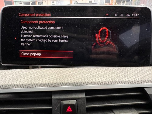 OBD BMW MGU Virgin Service Component Protection Removal