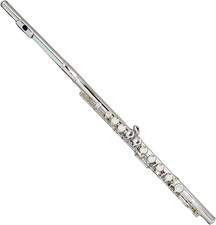 C Flute Closed Hole 16 Keys Flute Nickel Plated, DFL-101, for Beginner Kids Stud