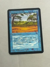 MTG Phantasmal Terrain Alpha Magic the Gathering