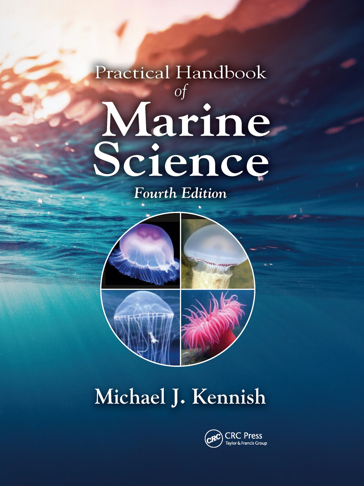 Practical Handbook of Marine Science - 4th Edition