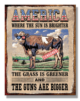 US Blechschild 31x40cm: America - where the sun is Brighter, and the Guns bigger