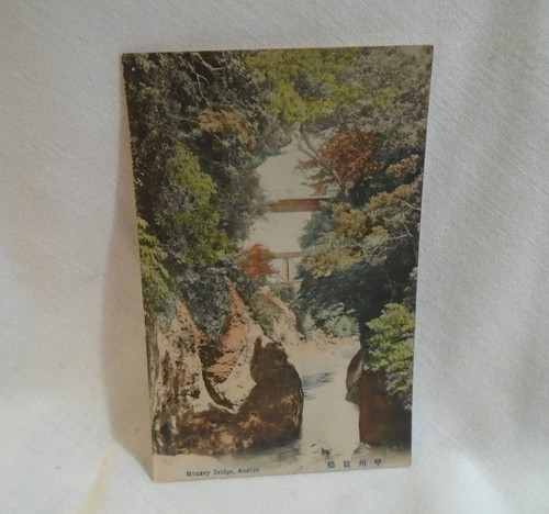 Monkey Bridge Koshu Japan Antique Postcard .
