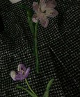 Foto 11 di 12