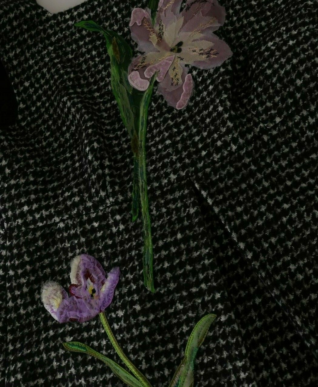 Picture 11 of 12