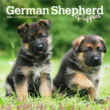 BrownTrout,  German Shepherd Puppies 2026 Mini Wall Calendar, 7'' X 7'', 16-Mont