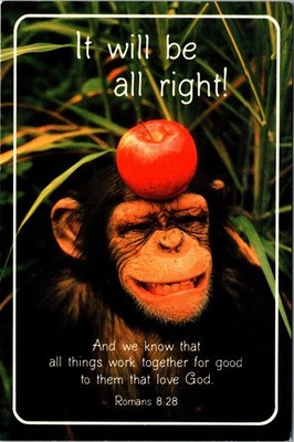 It will be all right! Postcard Romans 8:28 Chimpanzee with Red Apple on Head